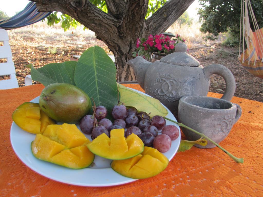 Beit Shapira Hostal Kefar Shammay Exterior foto